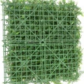 Perete verde mușchi artificial - 50 x 50 cm