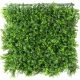 Perete verde mușchi artificial - 50 x 50 cm