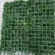 Perete verde tropical artificial GW6137 - 100 x 100 cm