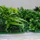 Perete verde tropical artificial GW6137 - 100 x 100 cm
