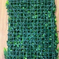 Panou Decorativ cu Ferigă și Buxus Verde 40x60 cm
