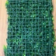 Panou Decorativ cu Ferigă și Buxus Verde 40x60 cm