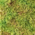 Muschi decorativ artificial 50×25 cm Verde 26146-UV71