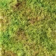 Muschi decorativ artificial 50×25 cm Verde 26146-UV71