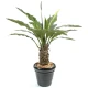 Anthurium artificial Jungle King, 130 cm, latime 100 cm, trunchi fibra de sticla Anthurium artificial Jungle King, 130 cm, latime 100 cm, trunchi fibra de sticla