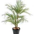 Palmieri artificiali Areca, 3 trunchiuri din lemn, frunze tergal, 220 cm