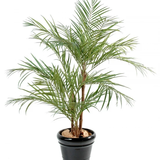 Palmieri artificiali Areca, 3 trunchiuri din lemn, frunze tergal, 220 cm
