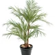 Palmieri artificiali Areca, 3 trunchiuri din lemn, frunze tergal, 220 cm