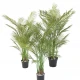 Planta artificiala Areca cu trunchiuri multiple, 145 cm inaltime, 60 cm latime