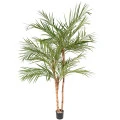 Palmieri artificiali Areca, 3 trunchiuri din lemn, frunze tergal, 220 cm