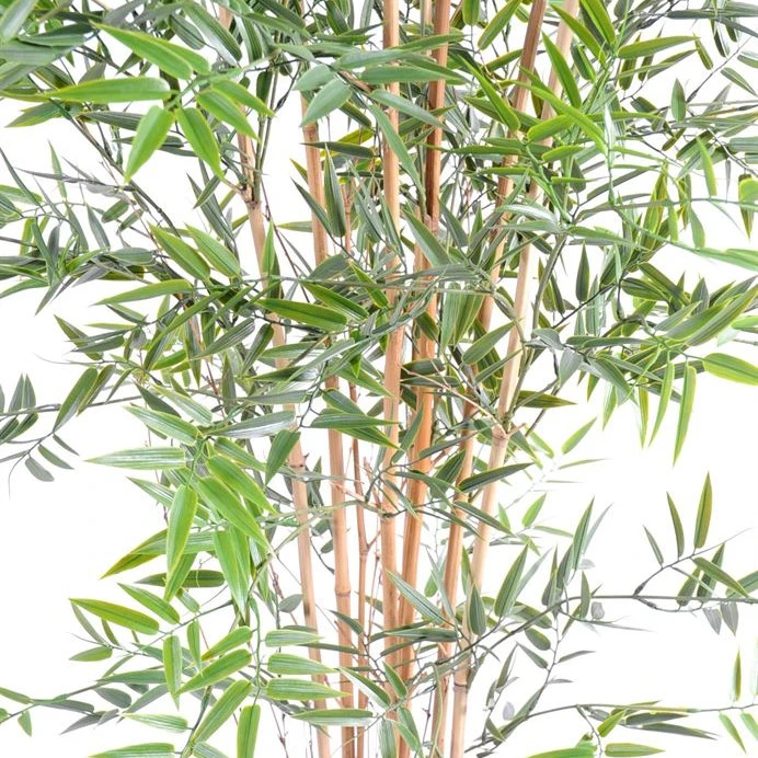 Bambus artificial japonez, verde, exterior, 180 cm