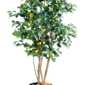 Copac artificial, lămâi verde - 180 cm
