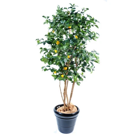 Copac artificial, lămâi verde - 180 cm Vert Espace