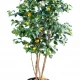 Copac artificial, lămâi verde - 180 cm