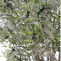 Copac maslin artificial, verde, gigant, 185 cm