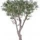 Copac maslin artificial, verde, gigant, 185 cm