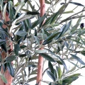Măslin artificial decorativ, trunchi noduros, 150 cm, verde, masline negre