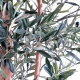 Măslin artificial decorativ, trunchi noduros, 150 cm, verde, masline negre