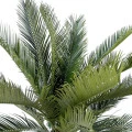 Palmier artificial Cycas, verde, 90 cm