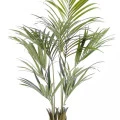 Palmier artificial, verde, Kentia, 150 cm