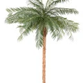 Palmier artificial, Phoenix verde, 210 cm