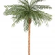 Palmier artificial, Phoenix verde, 210 cm Palmier artificial, Phoenix verde, 210 cm