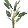 Palmier verde artificial, Traveller, 195 cm