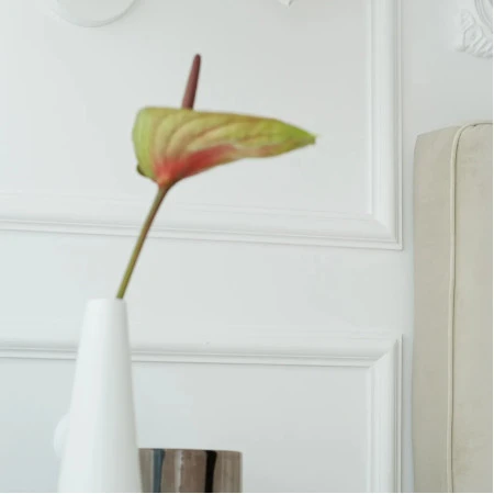 Brau decorativ perete 4,1 x 1,7 x 200 cm MD332