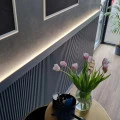 Brau Decorativ Minimalist cu LED de Perete QL017 10x2.5x200 cm