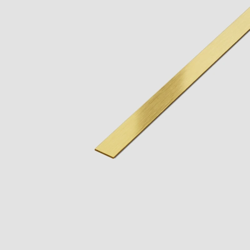 Platbanda Inox Auriu Mat 10 mm x 0.6 mm x 2700 mm