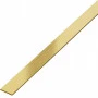 Platbanda Inox Auriu Mat 10 mm x 0.6 mm x 2700 mm
