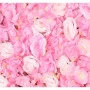 Perete  Floral Artificial Pink 40X60cm