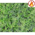 Perete Verde Artificial Amestec De Feriga 50X50cm IGNIFUG