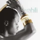 Vopsea decorativa Gold Swahili aurie