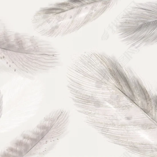 Fototapet fara imbinari Dream Delicate Feathers