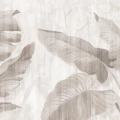 Fototapet Mural Leaf Shadow - Umbra Frunzelor pe perete
