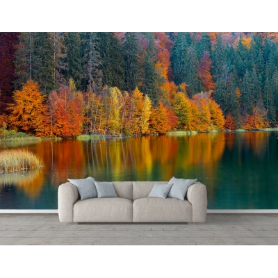 Fototapet Peisaj Pădure - Modern pentru Dormitor și Living Premier Decor