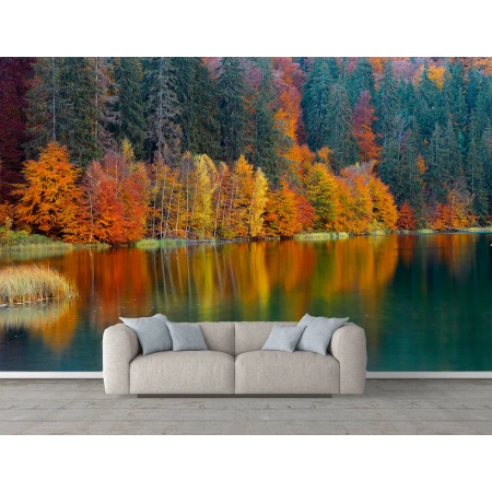 Fototapet Peisaj Pădure - Modern pentru Dormitor și Living