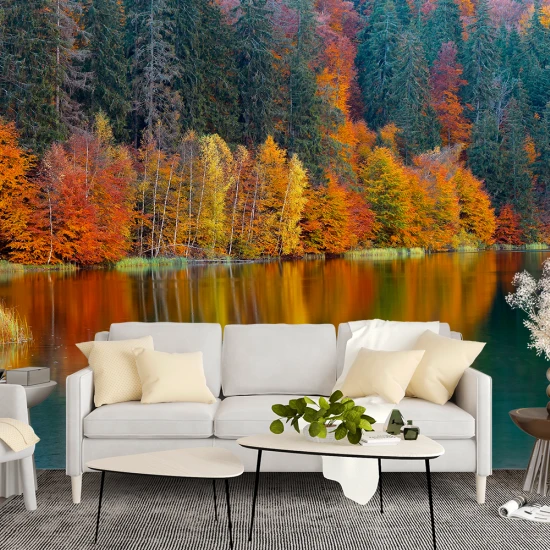 Fototapet Peisaj Pădure - Modern pentru Dormitor și Living