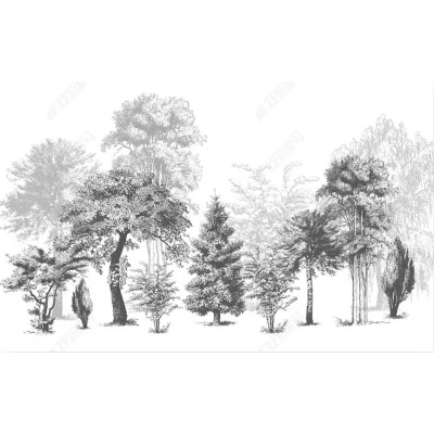 Fototapet fara imbinari Dream Forest Black and White Premier Decor