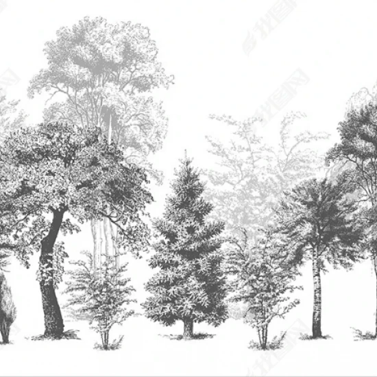 Fototapet fara imbinari Dream Forest Black and White