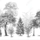 Fototapet fara imbinari Dream Forest Black and White