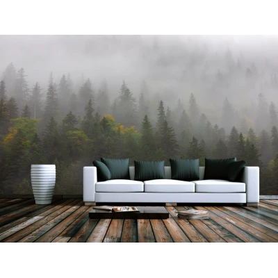 Fototapet fara imbinari Enigmatic Forest Premier Decor