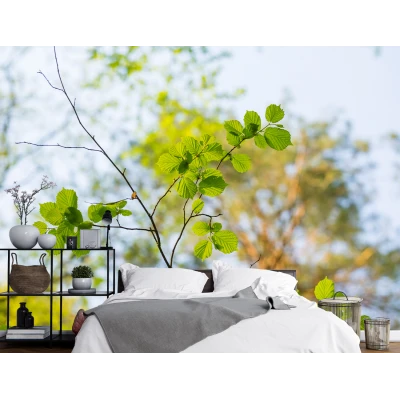 Fototapet Continuu Natură VIVIDĂ - Frunze Fără Imbinări Premier Decor