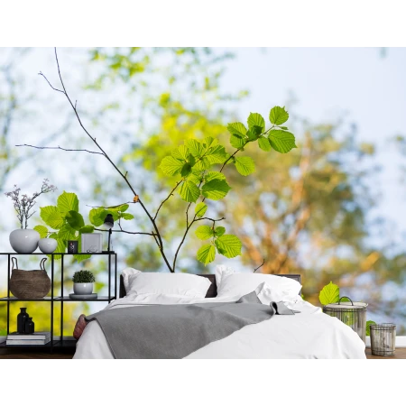 Fototapet Continuu Natură VIVIDĂ - Frunze Fără Imbinări Premier Decor