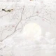Fototapet fara imbinari Dream Spring Chirping Fototapet fara imbinari Dream Spring Chirping