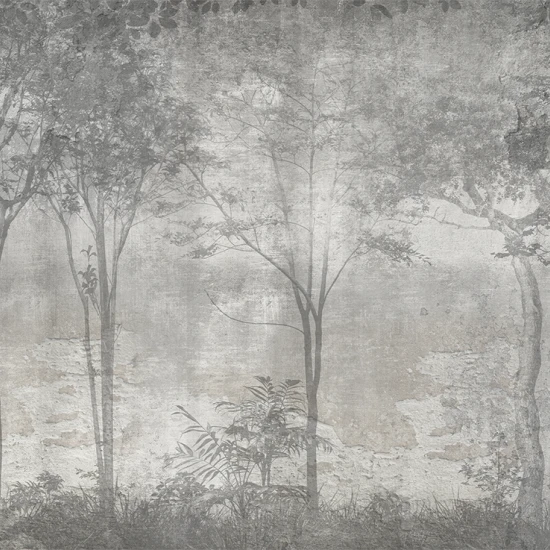 Fototapet fara imbinari Black and White Forest