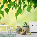 Fototapet fara imbinari frunze