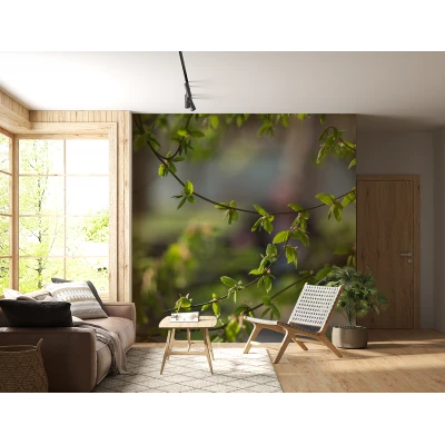 Fototapet Continuu Natură VIVIDĂ - Frunze Fără Imbinări Premier Decor