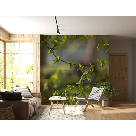 Fototapet Continuu Natură VIVIDĂ - Frunze Fără Imbinări Premier Decor